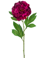 Een enkele Kunstbloem Pioen 77 cm aubergine kunststengel, met daarop een diep magenta pioenroos met enkele groene blaadjes, tegen een effen witte achtergrond.