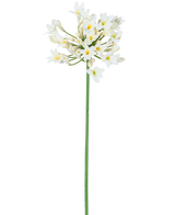 La Fleur Artificielle Agapanthe 77 cm blanche possède une seule haute tige verte avec un bouquet de petites fleurs blanches au cœur jaune, sur un fond uni blanc.