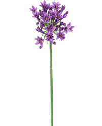 Fleur artificielle Agapanthe violet 75 cm