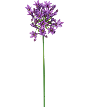Une seule longue tige verte avec une petite fleur artificielle violette en forme d'étoile Agapanthus 77 cm de fleurs violettes fleurissant au sommet, isolées sur un fond blanc.