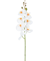 L'Orchidée Fleur Artificielle 84 cm blanche a une seule tige de fleurs d'orchidées blanches avec des cœurs jaunes et roses et des boutons floraux verts au sommet, sur un fond blanc uni.