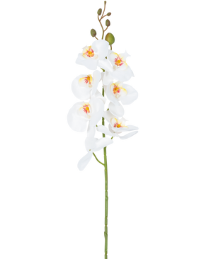 L'Orchidée Fleur Artificielle 84 cm blanche a une seule tige de fleurs d'orchidées blanches avec des cœurs jaunes et roses et des boutons floraux verts au sommet, sur un fond blanc uni.