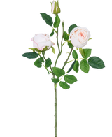 De Kunstrozentak Real Touch roze 72cm heeft een enkele stengel met twee lichtroze rozenbloesems, een rozenknop en groene bladeren, geïsoleerd op een witte achtergrond.