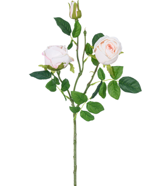 De Kunstrozentak Real Touch roze 72cm heeft een enkele stengel met twee lichtroze rozenbloesems, een rozenknop en groene bladeren, geïsoleerd op een witte achtergrond.