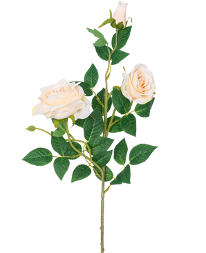 La Rose Artificielle Neo deluxe 75 cm beige a une seule tige avec deux roses fleuries beige clair, un bouton de rose et plusieurs feuilles vertes, sur un fond blanc uni.