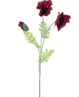 La Fleur Artificielle Coquelicot 73 cm bordeaux a une seule tige avec deux fleurs de coquelicot rouge foncé ouvertes, un bourgeon et plusieurs feuilles vertes dentelées sur fond blanc.