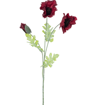 La Fleur Artificielle Coquelicot 73 cm bordeaux a une seule tige avec deux fleurs de coquelicot rouge foncé ouvertes, un bourgeon et plusieurs feuilles vertes dentelées sur fond blanc.