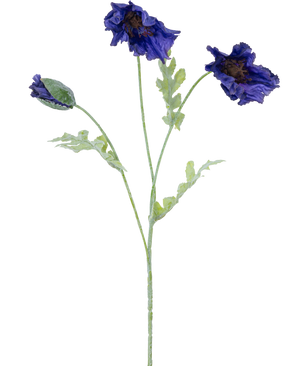 Een botanische illustratie van de Kunstbloem klaproos 73 cm donker blauw toont drie lichtgroene stengels-twee met ruches van donkerblauwe bloemen en een met een gesloten knop tegen een witte achtergrond.