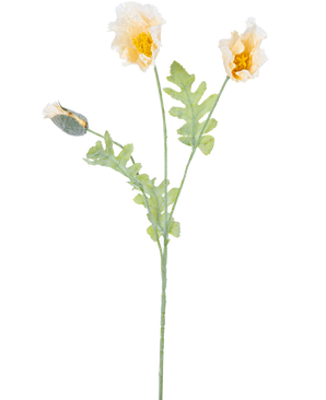 Une délicate illustration botanique de la fleur artificielle de pavot de 73 cm crème, avec deux fleurs jaunes ouvertes et un bourgeon fermé sur des tiges vertes aux feuilles dentelées, sur un fond blanc.