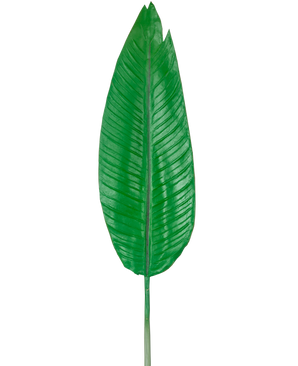 De Kunstblad Strelitzia 110cm is één groot, groen kunstblad met een prominente middennerf en zichtbare zijnerven, afgebeeld tegen een effen witte achtergrond.