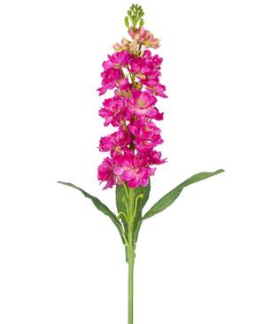 Une seule fleur artificielle Violier de 78 cm fuchsia avec plusieurs fleurs roses vibrantes et feuilles vertes sur un fond blanc uni.