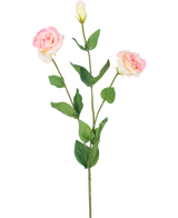L'Eustoma Artificiel Real Touch Rose Clair 72 cm a une seule tige verte avec deux fleurs rose clair épanouies et un bourgeon fermé, entouré de feuilles vertes, sur un fond blanc uni.