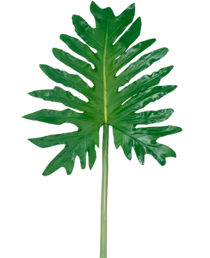 Un philodendron à feuilles artificielles de 68 cm, doté d'une grande feuille tropicale verte avec des lobes profonds et irréguliers et une longue tige centrale, est présenté sur un fond blanc uni.