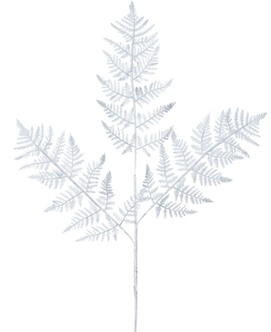 La fougère artificielle de 78 cm argentée présente une délicate fronde de fougère gris clair avec trois branches principales de feuilles finement détaillées sur un fond blanc uni.