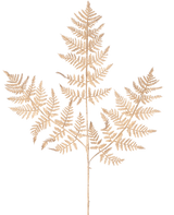 La branche de fougère artificielle de 78 cm dorée présente une délicate branche de fougère séchée avec de fines feuilles marron clair complexes dans un motif de dentelle détaillé, élégamment affichées sur un fond blanc uni.
