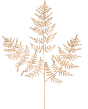 La branche de fougère artificielle de 78 cm dorée présente une délicate branche de fougère séchée avec de fines feuilles marron clair complexes dans un motif de dentelle détaillé, élégamment affichées sur un fond blanc uni.