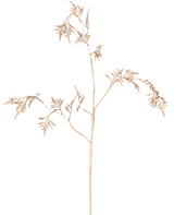 La Fougère Branche Artificielle Mini 75 cm dorée a des tiges délicates de couleur marron clair avec de fines feuilles plumeuses qui se ramifient sur un fond blanc uni.
