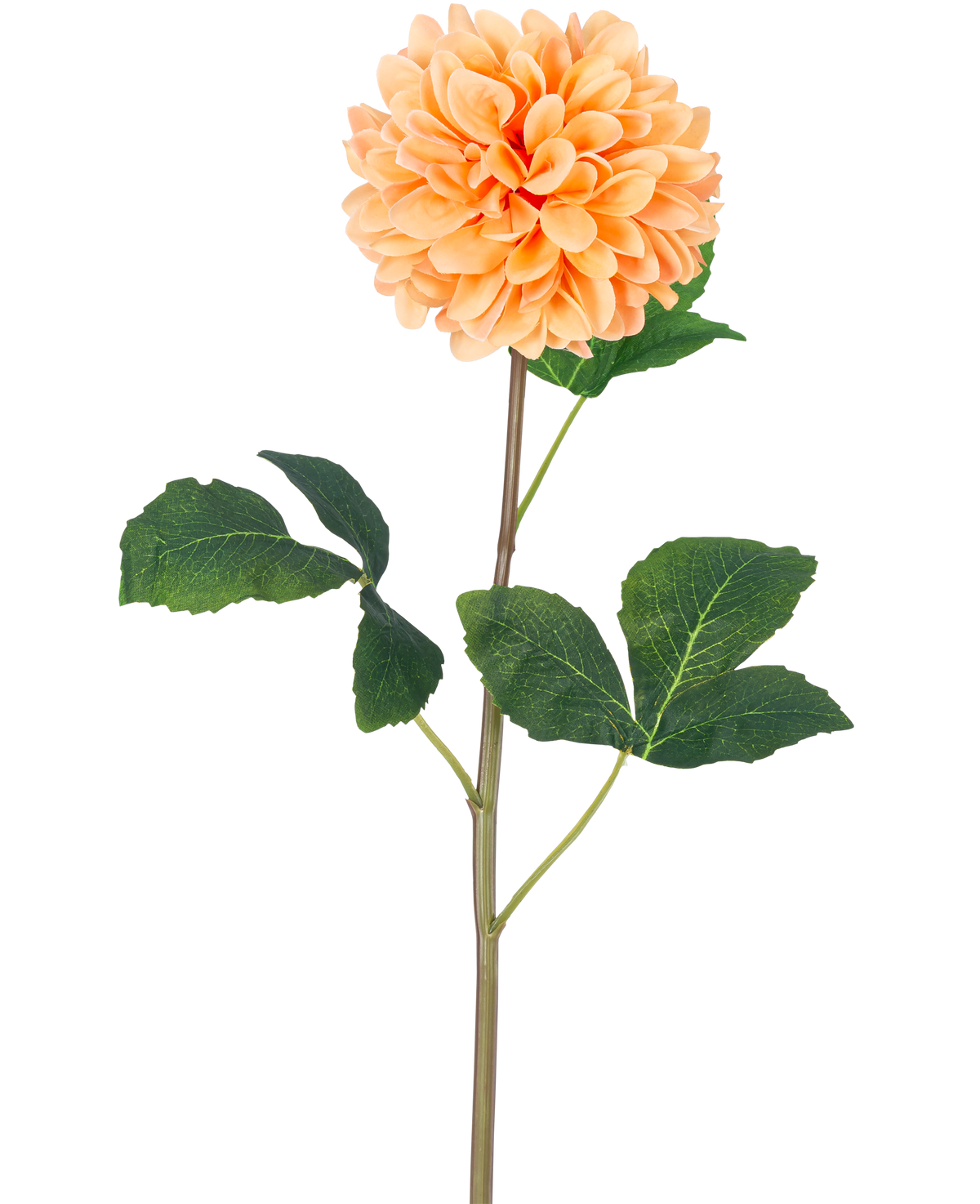 La Fleur Artificielle Dahlia Real Touch Peach 73 cm présente un seul dahlia pêche-orange avec de nombreux pétales sur une longue tige verte et plusieurs grandes feuilles vertes texturées, sur un fond blanc uni.