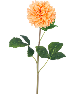 De Kunstbloem Dahlia Real Touch Perzik 73 cm heeft een enkele perzikoranje dahlia met veel bloemblaadjes op een lange groene steel en verschillende grote groene bladeren met textuur, tegen een effen witte achtergrond.