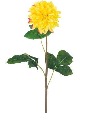 La Fleur Artificielle Dahlia Real Touch Jaune 73 cm est un simple dahlia jaune aux pétales ronds et aux accents rouges, avec une longue tige verte et un certain nombre de grandes feuilles vertes, sur un fond blanc.
