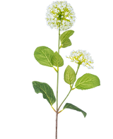 La Fleur Artificielle Boule de Neige/Viorne (70 cm) possède deux bouquets de petites fleurs blanches et plusieurs feuilles ovales vertes sur une tige, sur un fond blanc.