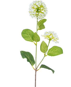 La Fleur Artificielle Boule de Neige/Viorne (70 cm) possède deux bouquets de petites fleurs blanches et plusieurs feuilles ovales vertes sur une tige, sur un fond blanc.