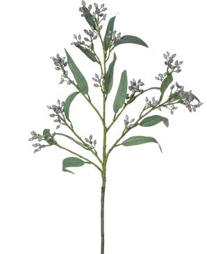 La Branche Artificielle Baie d'Eucalyptus 78 cm gris a une seule branche verte avec des feuilles longues et étroites et des grappes de petits bourgeons grisâtres, représentés sur un fond blanc.