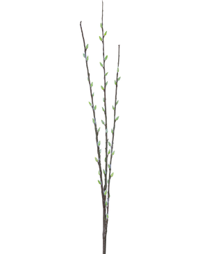 La fleur artificielle Salix saule 70 cm possède trois fines branches brunes avec de petits bourgeons verts et des chatons gris clair duveteux, disposés le long des tiges sur un fond blanc uni.