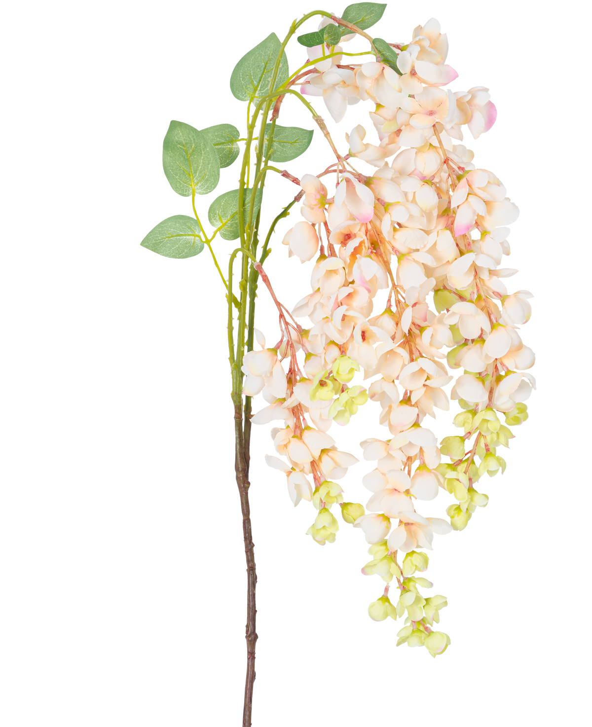La Fleur Artificielle Glycine 100 cm crème a une seule tige avec des bouquets de fleurs de glycine rose clair et crème, des bourgeons verts et des feuilles vertes sur un fond blanc.
