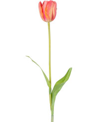 Fleur artificielle Tulipe française 60 cm orange