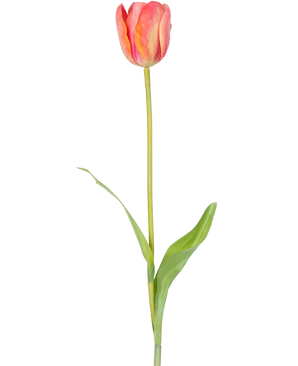Une seule fleur artificielle tulipe française de 63 cm orange avec une longue tige verte et deux feuilles vertes, isolée sur fond blanc.