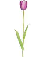 Une fleur artificielle tulipe française de 60 cm violette, une seule tulipe violette avec des feuilles vertes et une longue tige, isolée sur fond blanc.