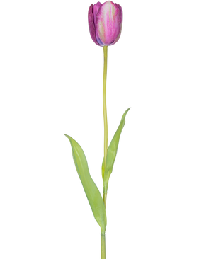 Une fleur artificielle tulipe française de 60 cm violette, une seule tulipe violette avec des feuilles vertes et une longue tige, isolée sur fond blanc.
