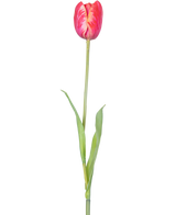 Een enkele Kunstbloem Franse Tulp 60 cm rood met levendige rode bloemblaadjes en groene blaadjes op een steel, tegen een witte achtergrond.
