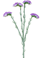 La Branche Artificielle Statice 64 cm violet possède une seule tige verte à cinq branches, chacune recouverte de grappes de petites fleurs violettes à volants, sur un fond blanc.