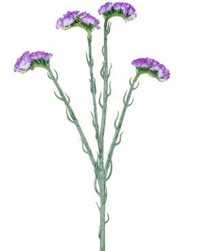 La Branche Artificielle Statice 64 cm violet possède une seule tige verte à cinq branches, chacune recouverte de grappes de petites fleurs violettes à volants, sur un fond blanc.