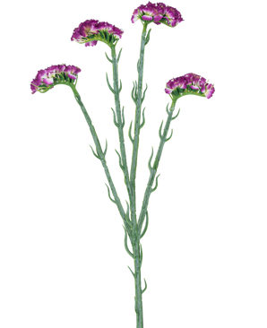 La branche artificielle Statice 64 cm violet foncé a trois tiges vertes minces avec de multiples branches, chacune recouverte d'un certain nombre de petites fleurs violet foncé à froufrous, le tout sur un fond blanc.