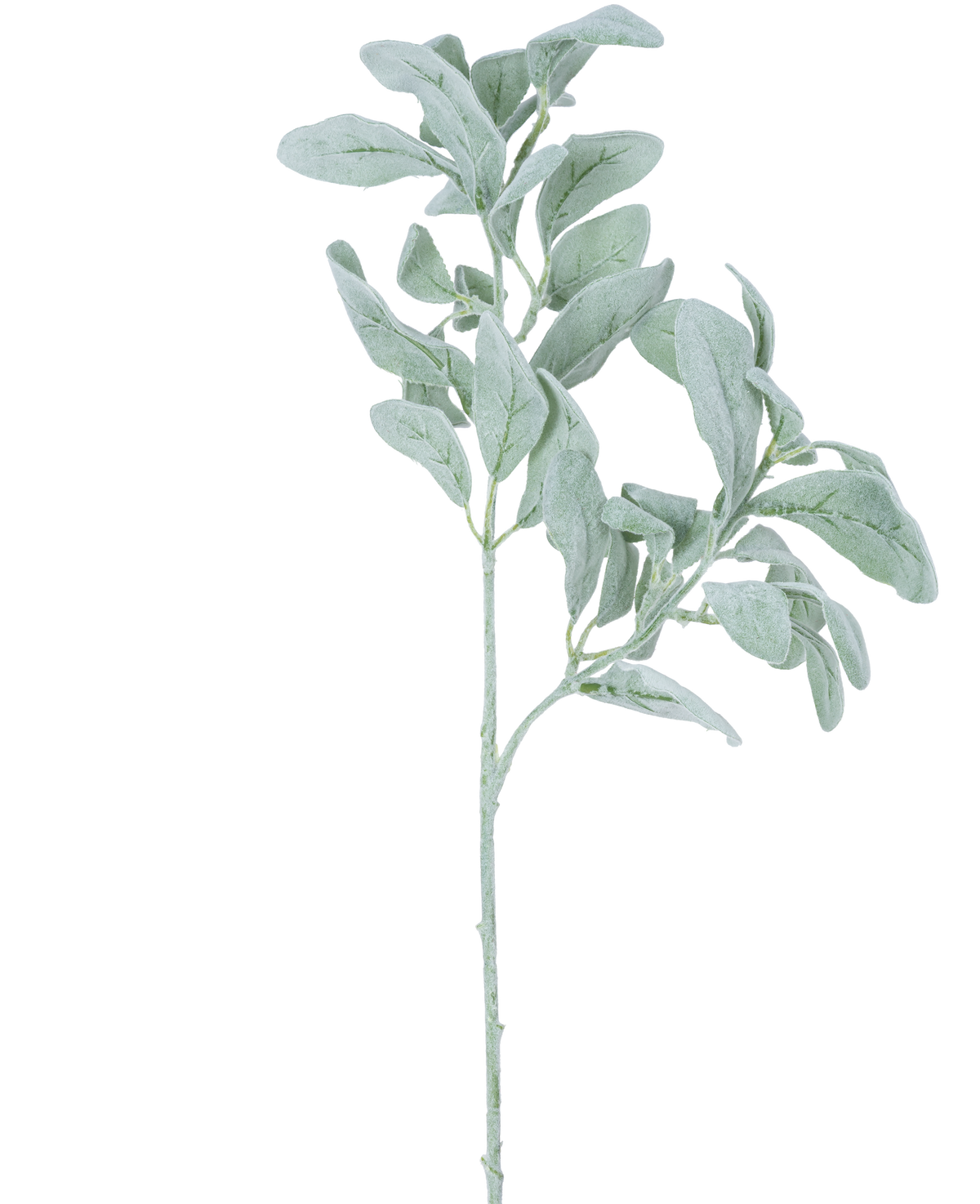 Une seule fleur d'eucalyptus artificielle d'environ 70 cm de tige avec des feuilles vert argenté de forme ovale à la texture douce, isolées sur un fond blanc.