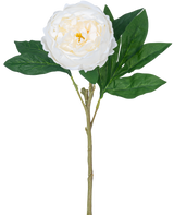 De Kunstpioen Real Touch Wit 58cm heeft een enkele witte pioen met gelaagde bloemblaadjes en een geel hart op een lange groene steel met meerdere grote groene bladeren, tegen een effen witte achtergrond.