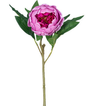 La fleur artificielle Lotus Pivoine Real Touch de couleur violette, de 58 cm de long, a des pétales superposés, des feuilles vertes et une longue tige. Sur la photo sur un fond blanc uni.