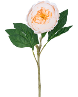 La Pivoine Artificielle Real Touch Crème Blanc 58 cm possède une seule tige de pivoine artificielle avec une grande fleur blanche de couleur crème et des feuilles vertes, sur un fond blanc.