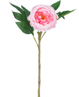 La Pivoine Artificielle Real Touch Rose 58 cm est une pivoine rose artificielle avec des pétales superposés, un cœur jaune, des feuilles vertes et une longue tige brune, représentée sur un fond blanc uni.