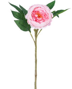 La Pivoine Artificielle Real Touch Rose 58 cm est une pivoine rose artificielle avec des pétales superposés, un cœur jaune, des feuilles vertes et une longue tige brune, représentée sur un fond blanc uni.