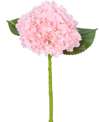 Hortensia artificiel 