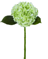 De Kunsthortensia "Annabelle" Real Touch Groen 55cm heeft een enkele lichtgroene hortensiabloem met een ronde tros, twee donkergroene bladeren en een lange steel, allemaal geïsoleerd op een witte achtergrond.