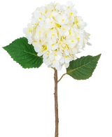 De Kunstbloem Hortensia Real Touch Crème 58 cm heeft een enkele hortensiasteel met een grote tros licht crème bloemen en twee groene bladeren, geïsoleerd op een witte achtergrond.