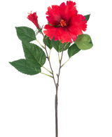 La Fleur Artificielle Hibiscus 63 cm rouge a une seule tige avec des fleurs d'hibiscus rouge vif et des feuilles vertes sur un fond blanc uni.