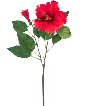 La Fleur Artificielle Hibiscus 63 cm rouge a une seule tige avec des fleurs d'hibiscus rouge vif et des feuilles vertes sur un fond blanc uni.