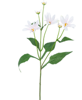 La Fleur Artificielle Madelief 76 cm blanche possède une seule tige verte avec plusieurs grandes feuilles et cinq fleurs blanches ressemblant à des marguerites avec un cœur jaune, sur un fond blanc uni.