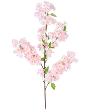 La Fleur de Cerisier Artificielle 100 cm rose a une longue tige brune, des bouquets de fleurs de cerisier rose clair et des feuilles vertes sur fond blanc.